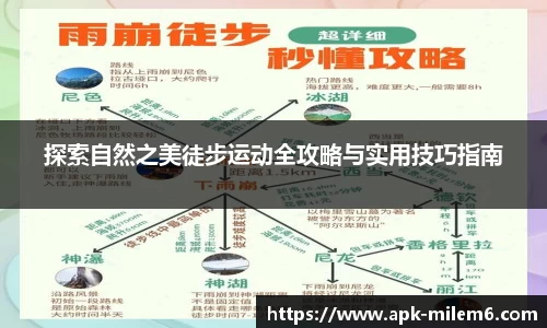 米乐m6